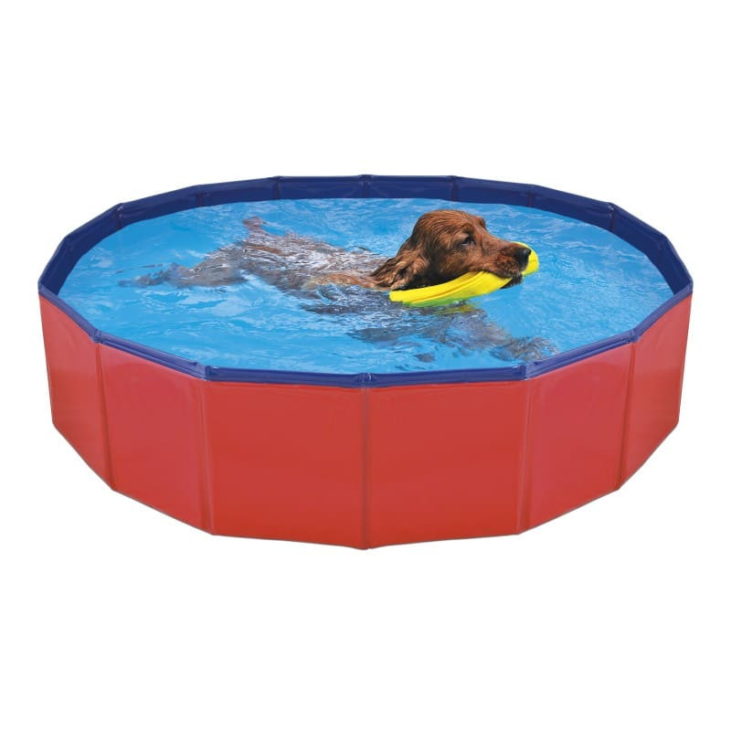 Piscina Para Perros Nayeco