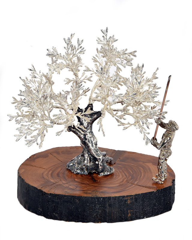 Olivo plata vareador