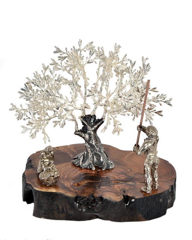 Olivo vareador y recogedora